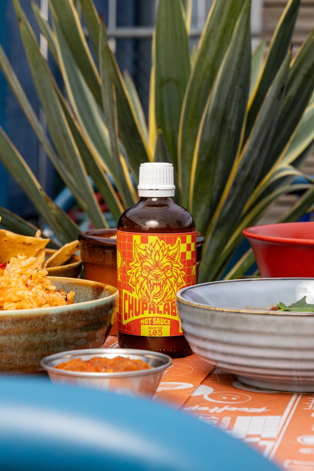 Bouteille de hot sauce Chupacabra Rooftop 105 devant un agave en terrasse